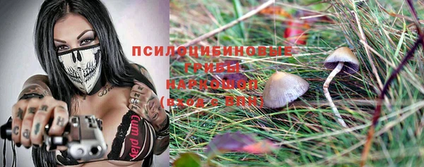 ГАЛЛЮЦИНОГЕННЫЕ ГРИБЫ Абаза