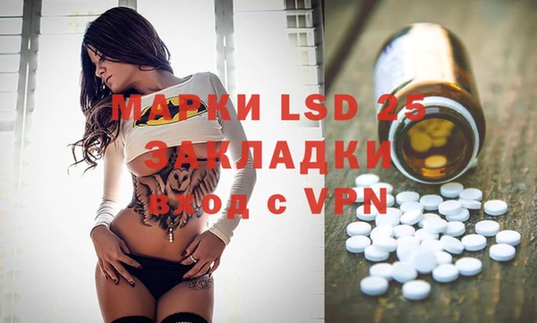 ГАЛЛЮЦИНОГЕННЫЕ ГРИБЫ Абаза