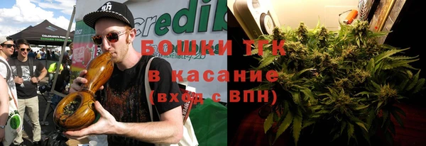 ГАЛЛЮЦИНОГЕННЫЕ ГРИБЫ Абаза