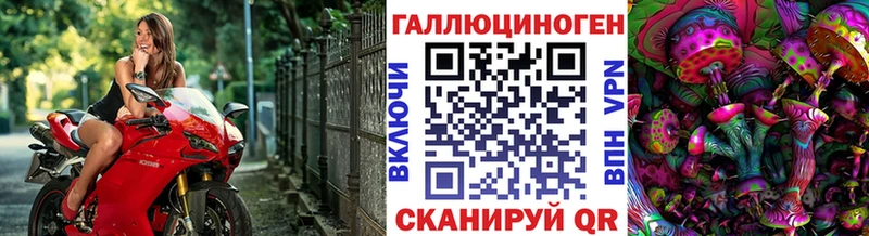 Псилоцибиновые грибы MAGIC MUSHROOMS  Советск 